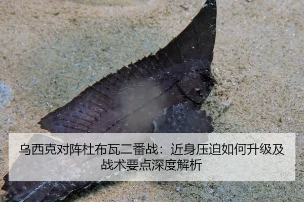 乌西克对阵杜布瓦二番战：近身压迫如何升级及战术要点深度解析