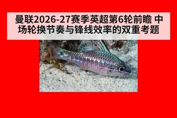 曼联2026-27赛季英超第6轮前瞻 中场轮换节奏与锋线效率的双重考题