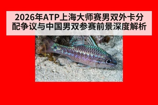 2026年ATP上海大师赛男双外卡分配争议与中国男双参赛前景深度解析